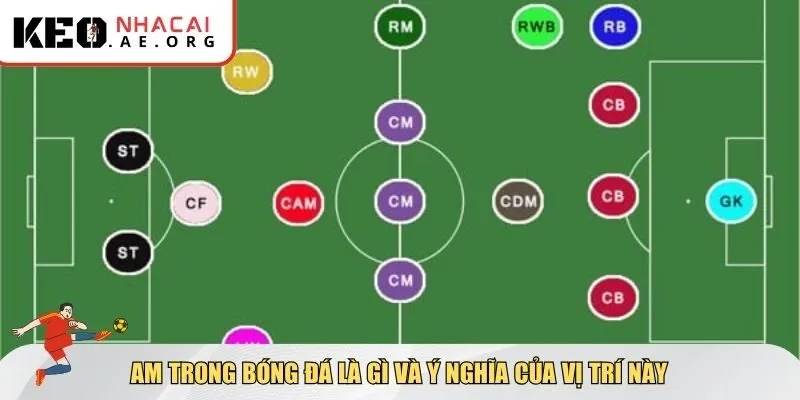 Tìm hiểu chung về AM trong bóng đá là gì