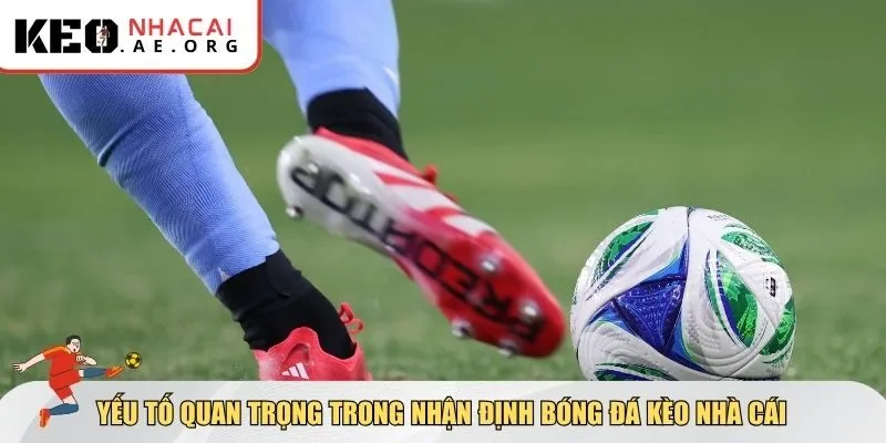 Yếu tố tác động để đưa ra nhận định bóng đá