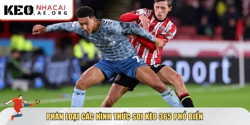Những hình thức soi kèo 365 cần biết