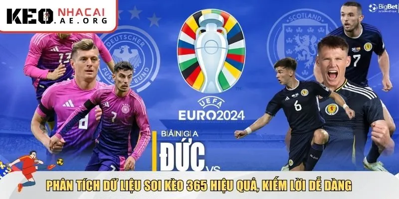 Dùng dữ liệu để soi kèo 365 chuẩn xác