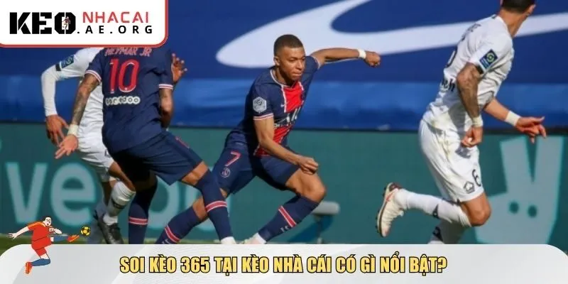 Ưu điểm của soi kèo 365 tại Kèo Nhà Cái