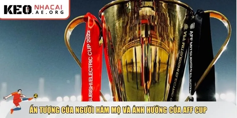 Ấn tượng của người hâm mộ và ảnh hưởng của AFF Cup