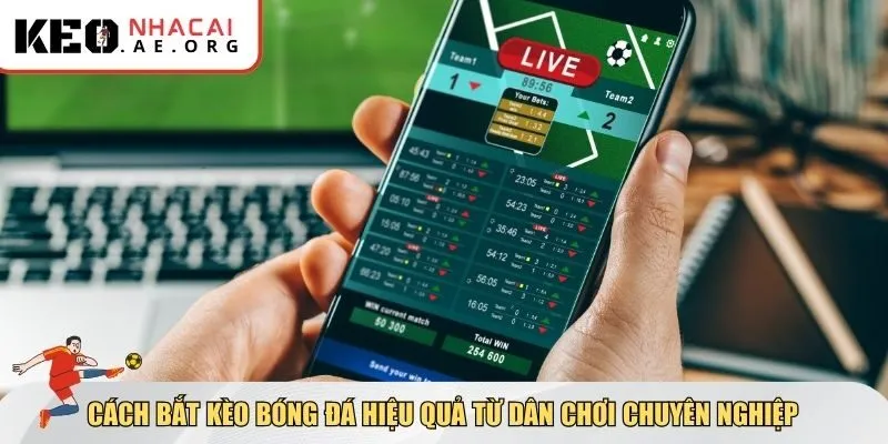 Cách bắt kèo bóng đá hiệu quả từ dân chơi chuyên nghiệp