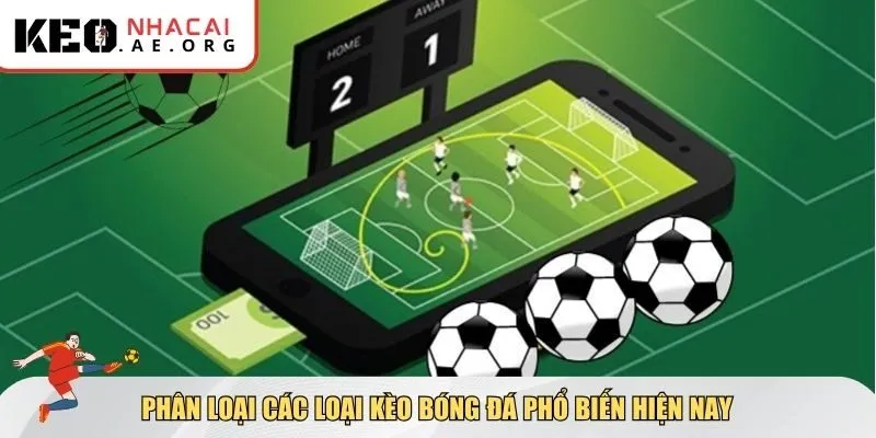 Phân loại kèo để có cách đọc kèo bóng đá tốt hơn