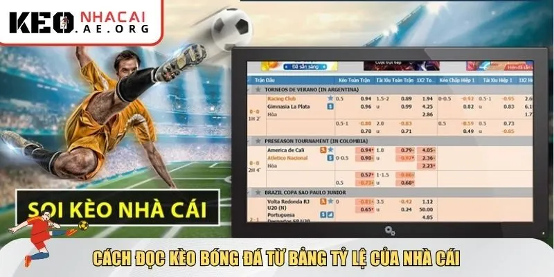 Cách đọc kèo bóng đá từ bảng tỷ lệ của nhà cái