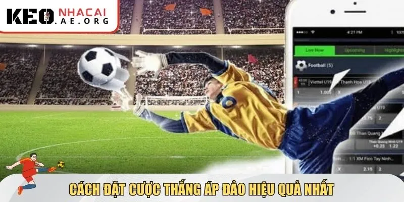 Cách đặt cược thắng áp đảo hiệu quả nhất