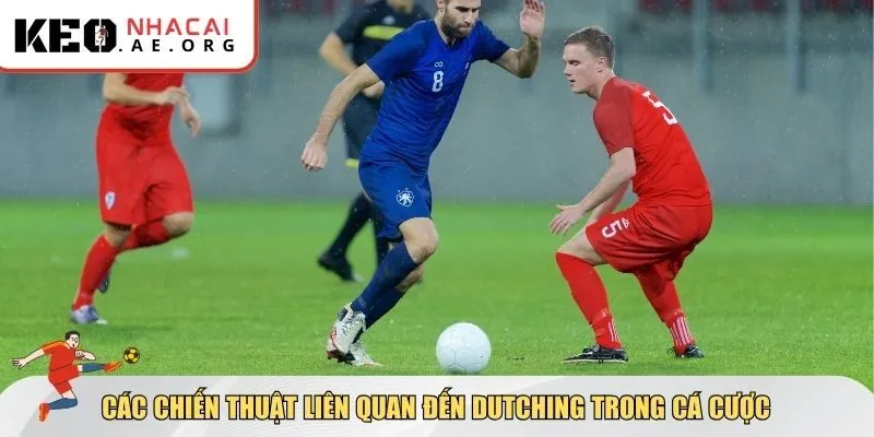 Các chiến thuật liên quan đến dutching trong cá cược