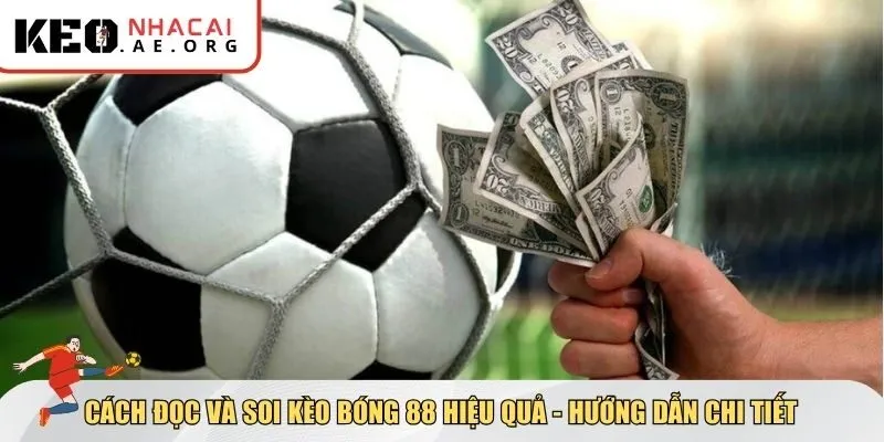 Cách đọc và soi kèo bóng 88 hiệu quả