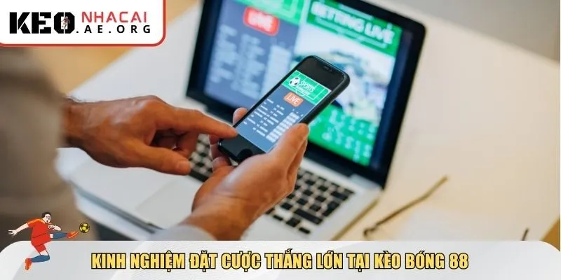 Kinh nghiệm thực chiến giúp bạn tối ưu hóa cơ hội thắng khi chơi tại kèo bóng 88