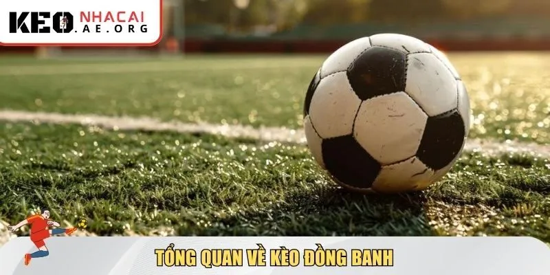 Tổng quan về kèo đồng banh: Khái niệm và đặc điểm nổi bật