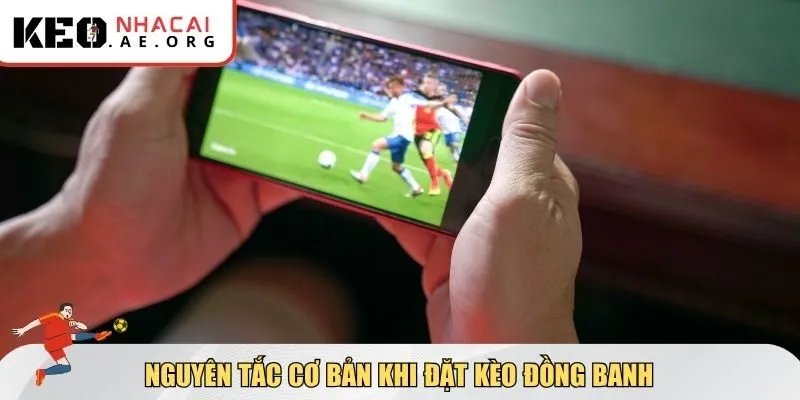 Nguyên tắc cơ bản khi đặt kèo đồng banh
