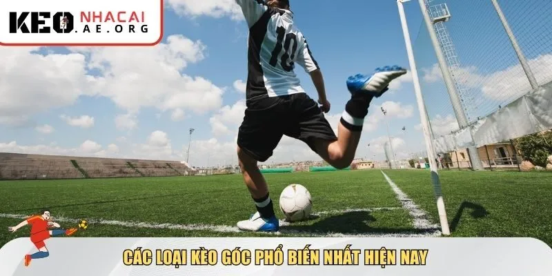 Các loại kèo góc phổ biến nhất hiện nay
