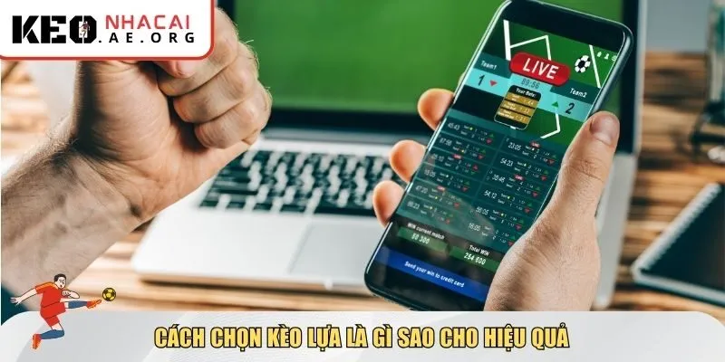 Cách chọn kèo lựa là gì sao cho hiệu quả