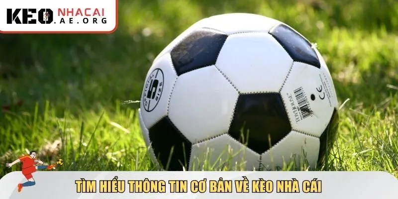 Tìm hiểu thông tin cơ bản về kèo nhà cái