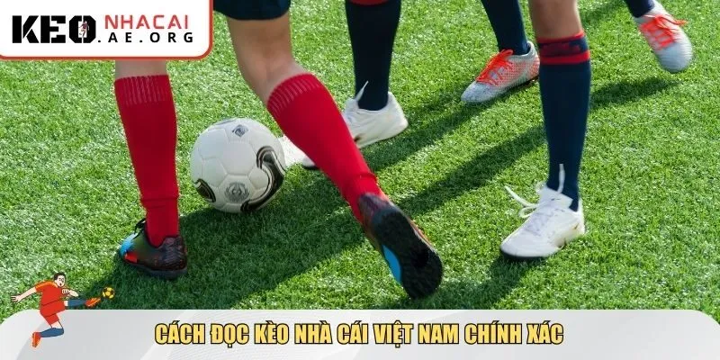 Cách đọc kèo nhà cái Việt Nam chính xác