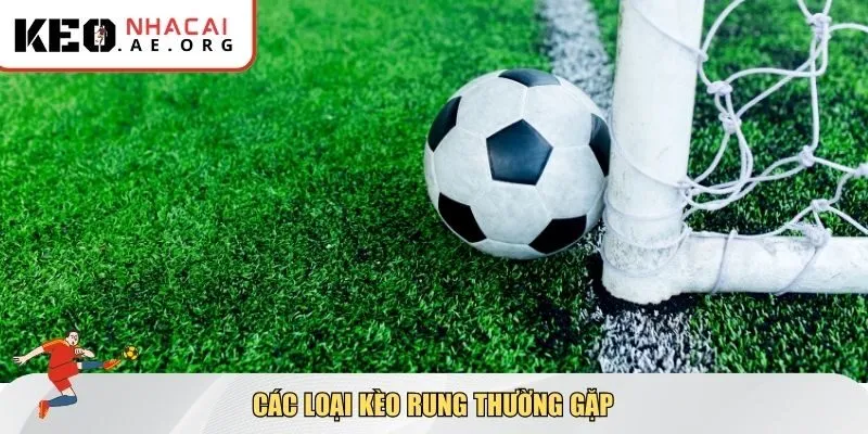 Các loại kèo rung thường gặp