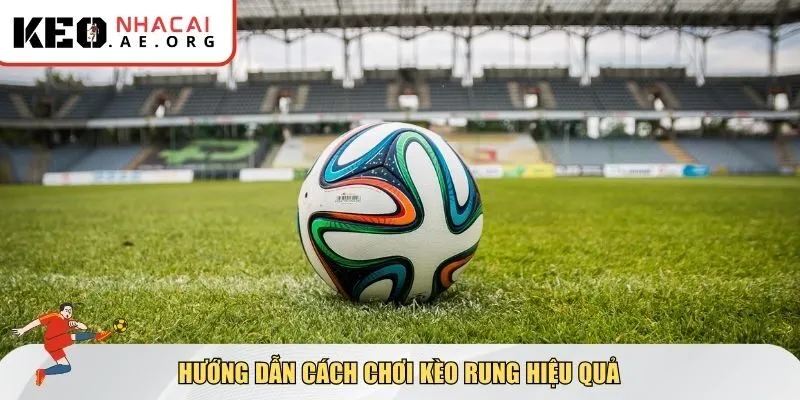 Hướng dẫn cách chơi kèo rung hiệu quả
