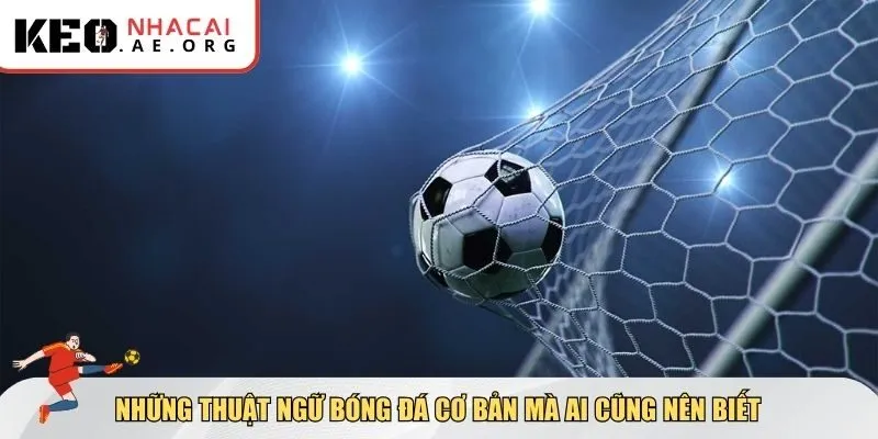 Những thuật ngữ bóng đá cơ bản mà ai cũng nên biết