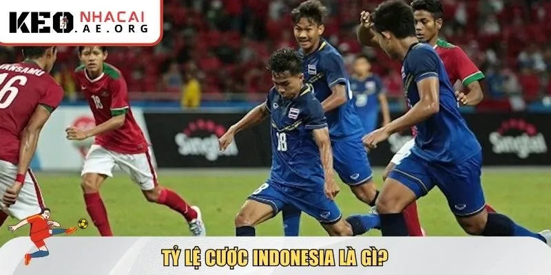 Tỷ lệ cược Indonesia là gì?