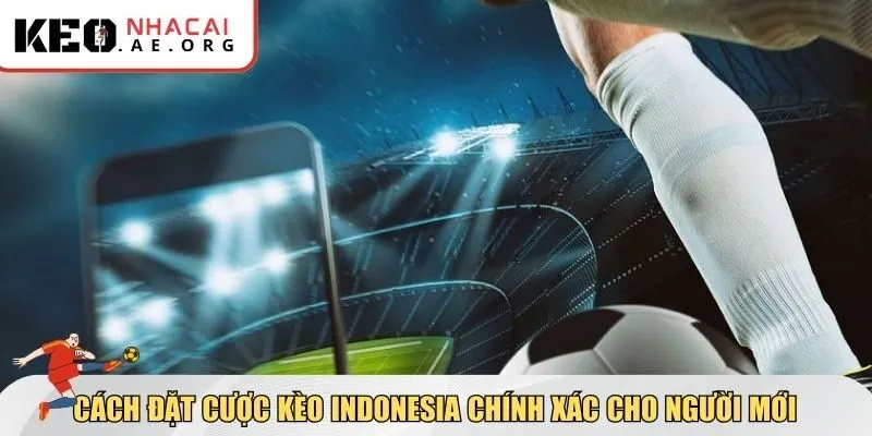 Cách đặt cược kèo Indonesia chính xác cho người mới