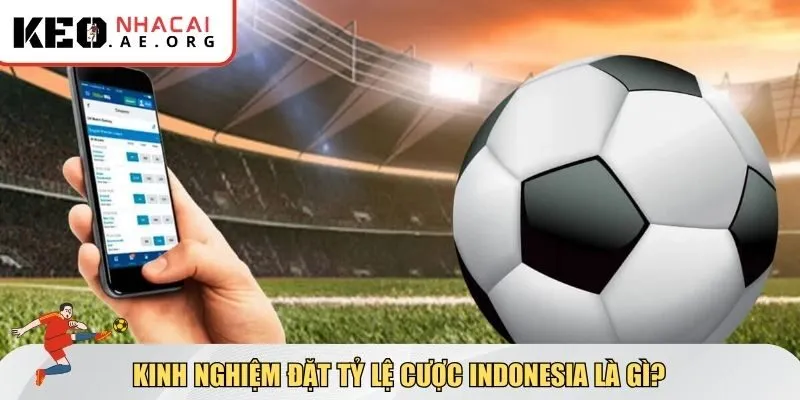 Kinh nghiệm đặt tỷ lệ cược Indonesia là gì để luôn nắm lợi thế?