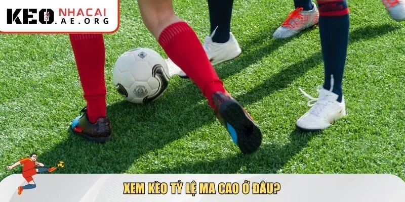 Xem kèo tỷ lệ Ma Cao ở đâu?