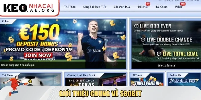 Giới thiệu chung về SBOBET