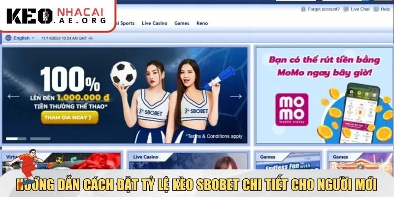 Hướng dẫn cách đặt tỷ lệ kèo SBOBET chi tiết cho người mới