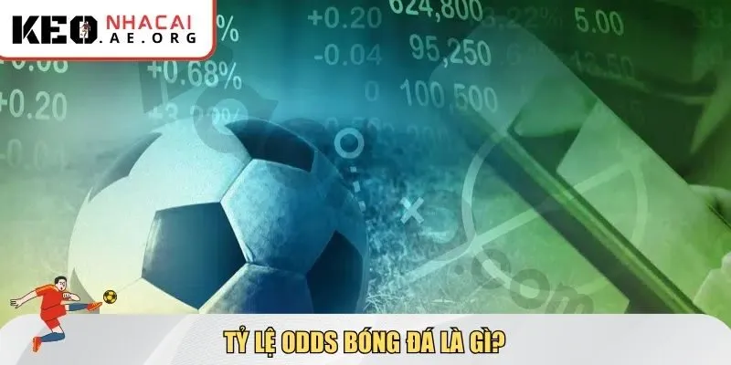 Tỷ lệ Odds bóng đá là gì?
